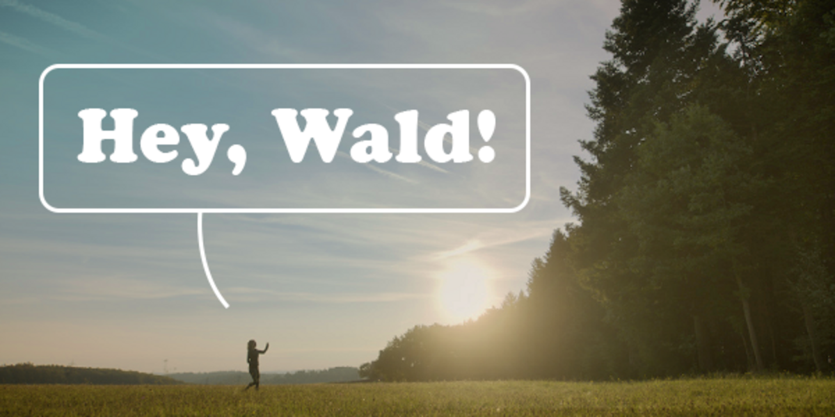 Hey Wald