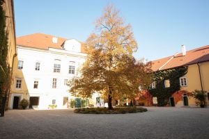 OEHG2015 c Lerch 003