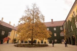 OEHG2015 c Lerch 004